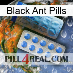 Black Ant Pills 40